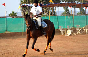 Rs. 299 for horse rides worth Rs. 600 at United Royal Riders