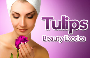 Rs. 79 to get 60% off on beauty services from the menu at Tulips Beauty Exotica