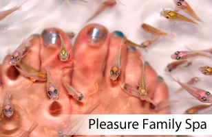 Pleasure Family Spa