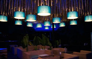 Blue Mushroom Restaurant & Lounge