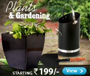Plants & Gardening