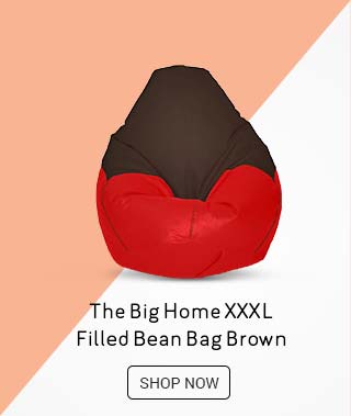 The big home Bean Bag