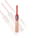 SG RSD PLUS Kashmir Willow Cricket Bat