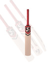 SG MAXCOVER Kashmir Willow Cricket Bat