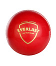 SG Everlast Cricket Balls (Pack Of 3)