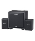 Roland CM-220 Cube Monitor