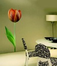 Plage Orange Tulip Wall Sticker - Large