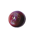 SM Wrecker Cricket Leather Ball