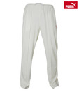 Puma Team Twill Knit Pant (Cream)