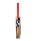 Puma Pulse Gt Kashmir Willow Cricket Bat (Size 4)