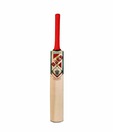 BEES Sting Kashmir Willow Cricket Bat