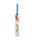 Slazenger V-360 Panther Kashmir Willow Cricket Bat