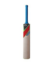 Slazenger V-360 Striker Kashmir Willow Cricket Bat