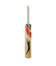 Slazenger V-100 All Star  Kashmir Willow Cricket Bat