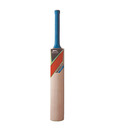 Slazenger V-360 All Star Kashmir Willow Cricket Bat