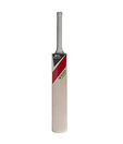 Slazenger V-100 Prodigy  Kashmir Willow Cricket Bat