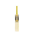 Cosco Double Century Kashmir Willow Cricket Bat
