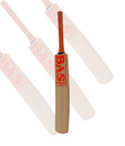 BAS BoSS Kashmir Willow Cricket Bat