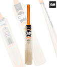 GM Epic 202 Kashmir Willow Cricket Bat