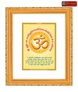 Diviniti Auspicious Om with Gayatri Mantra DG Car Frame