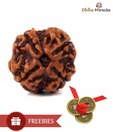 Divine Miracles Natural Four Face Rudraksha