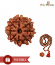 Divine Miracles Natural Eight Face Rudraksha