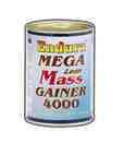 Endura Mega Lean Mass Gainer 4000 (500g)