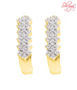 Shriya Graceful Earrings
