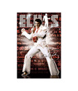 Elvis Presley (Vegas) (24 x 36 Inches)