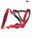 Body Set-Leash+Harness-1.25Inch (Leather) - Dog Leash and Harness