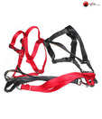 Body Set-Leash+Harness (Plain) - 1Inch - Dog Leash and Harness
