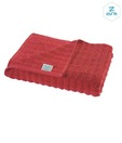 Zyne Sponzy Maroon Set Of Two Cotton Hand Towels