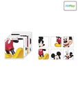 HitPlay Disney Coasters