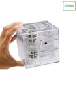 Hitplay Maze Money Bank