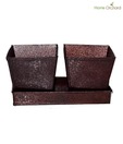 Home Orchard Classic Dark Brown Planter Set With Tray