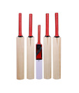 Jaspo Kashmir Willow Cricket Bat