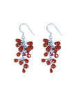 Indian Silver Charming Carnelian Earrings