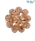 Pari Alluring CZ & Rhinestone Studded Ring