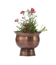 Live n Style Graceful & Classic Design Small Size Planter