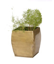 Live n Style Swanky Brass Finish Medium Size Planter