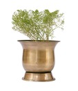 Live n Style Antique Brass Finish Iron Planter(Medium)