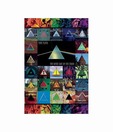 Pink Floyd Dark Side Of The Moon Immersion (24 x 36 inches)