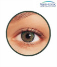 Freshlook Colour Blends (2 Lens Pack) Green