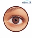 Freshlook Colour Blends (2 Lens Pack) Honey