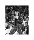 Elvis (68 Special) (15.7 x 19.6 Inches)