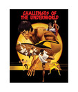 Bruce Lee (Challenges Of The Underworld) (15.7 x 19.6 Inches)