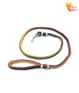 Scoobee Classy Multi-Colour Lead Rope