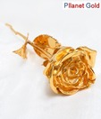 Pllanet Gold Elegant Gold Plated Rose