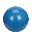 Relief Swiss Ball (65 cm)