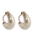 Silver Centrre Elegant Earrings
